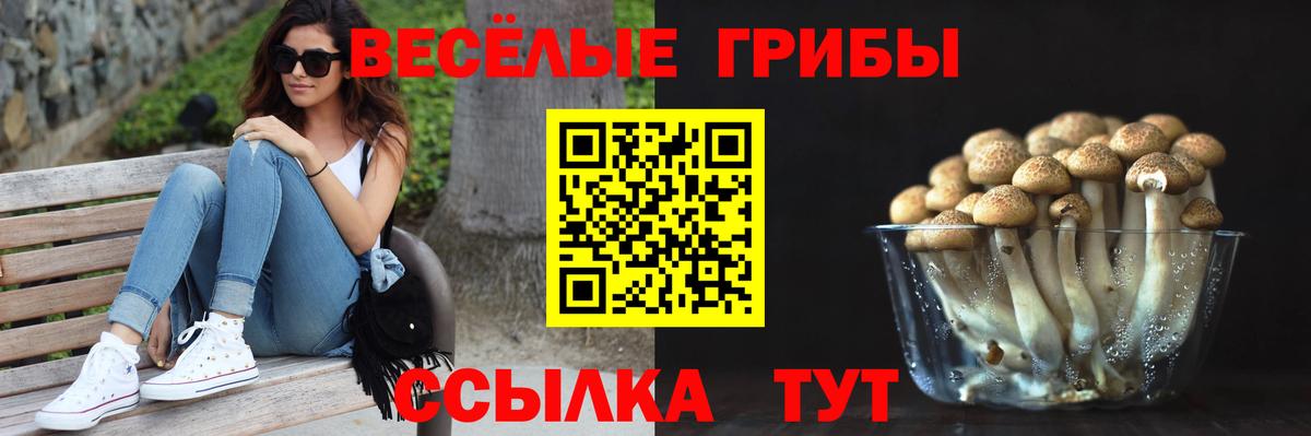 Псилоцибиновые грибы GOLDEN TEACHER Людиново