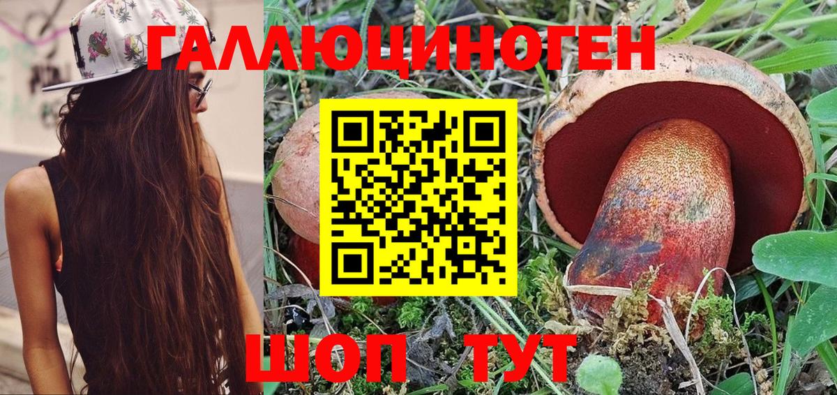 Галлюциногенные грибы Psilocybine cubensis  Галлюциногенные грибы MAGIC MUSHROOMS  Людиново  Вход с VPN 